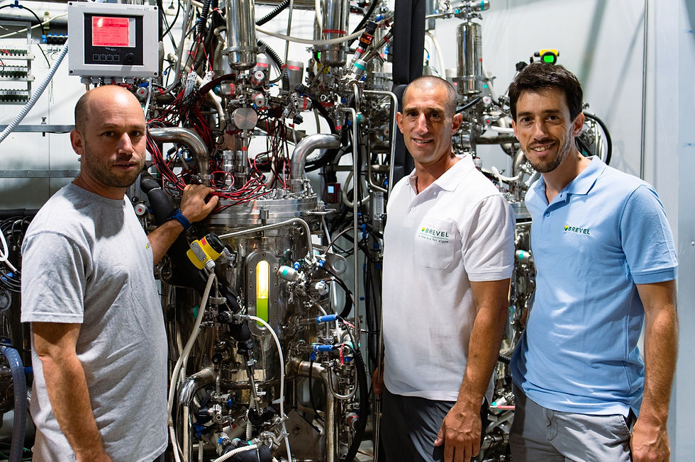 Brevel secures $25m in seed round expansion to advance microalgae protein production