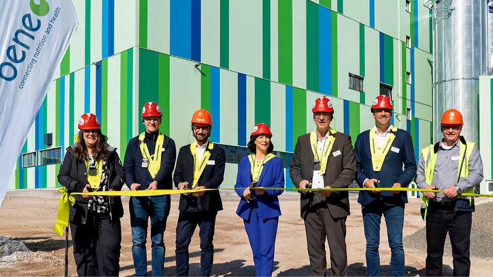 Beneo opens €50m pulse-processing plant in Germany