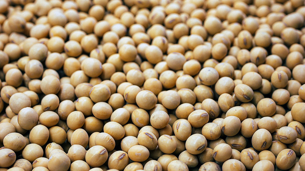 Elian receives €40m investment from COFIDES to fuel plant protein production in Barcelona