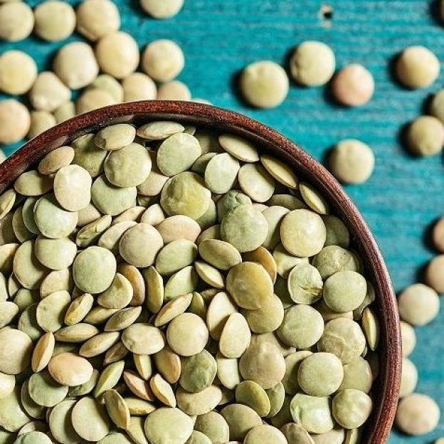 Ingood by Olga presents fermented lentil-based egg alternative