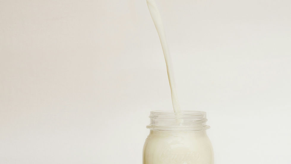 US senators target plant-based dairy labelling with reintroduction of ‘Dairy Pride’ Act