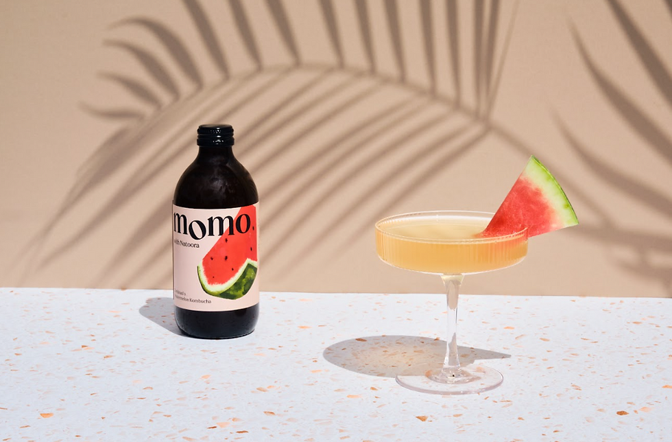 Momo Kombucha secures £2m funding