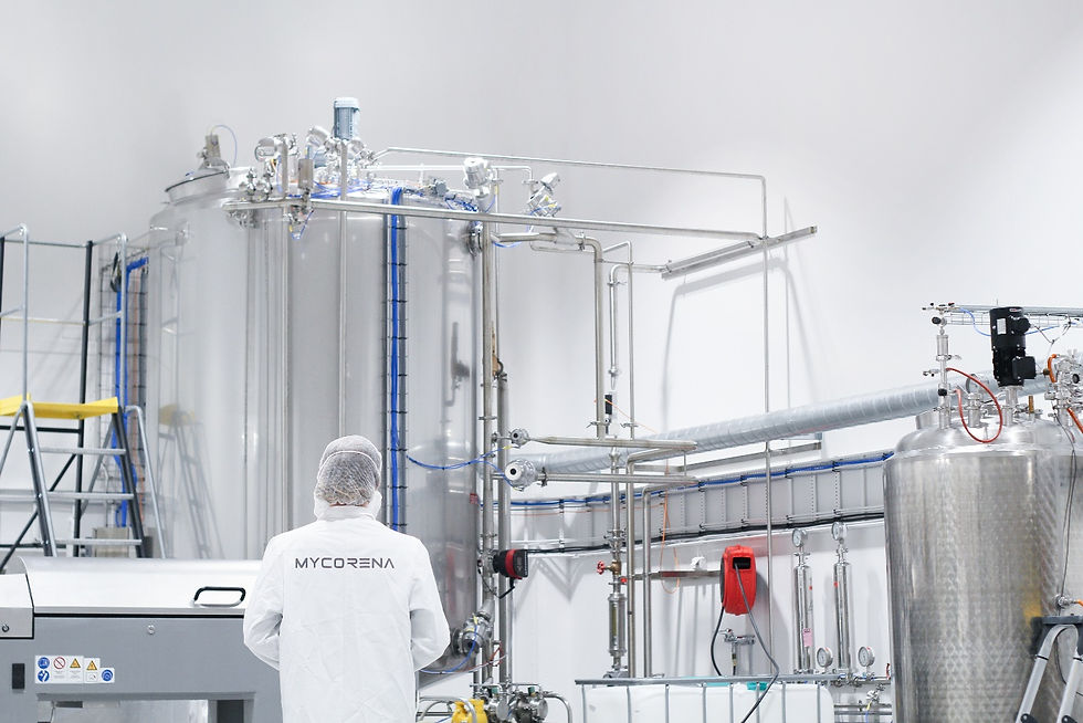 Mycorena scraps new factory project, focuses on pivoted growth plan