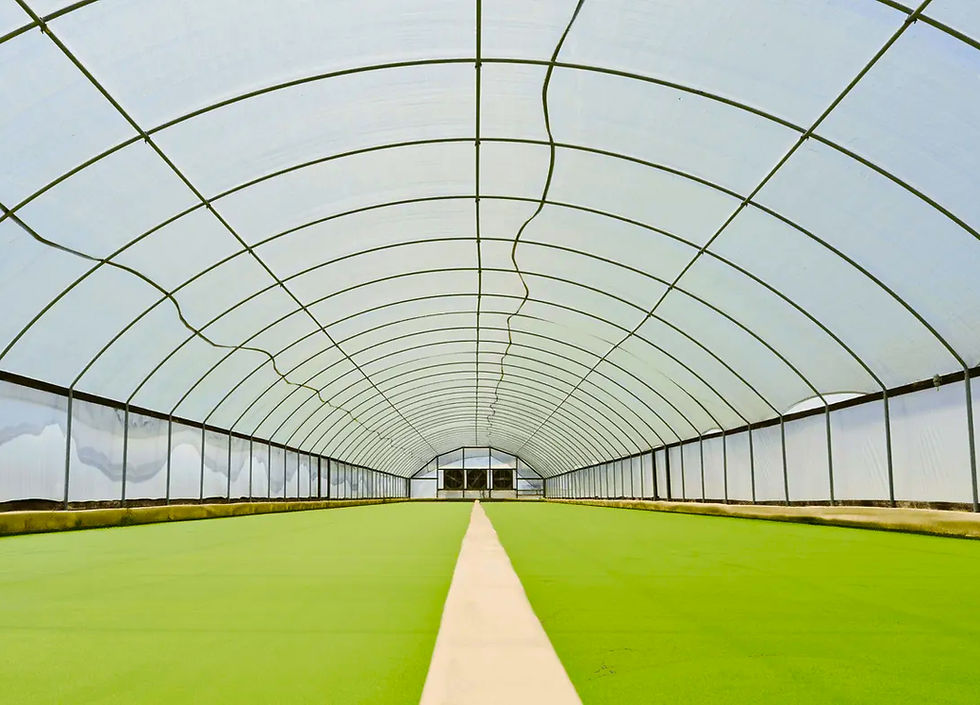 Plantible secures $35m to boost Rubi Protein production capacity 