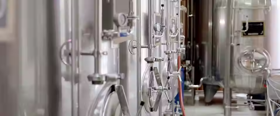 Consumers need clearer answers to build confidence in precision fermentation, new EIT report finds