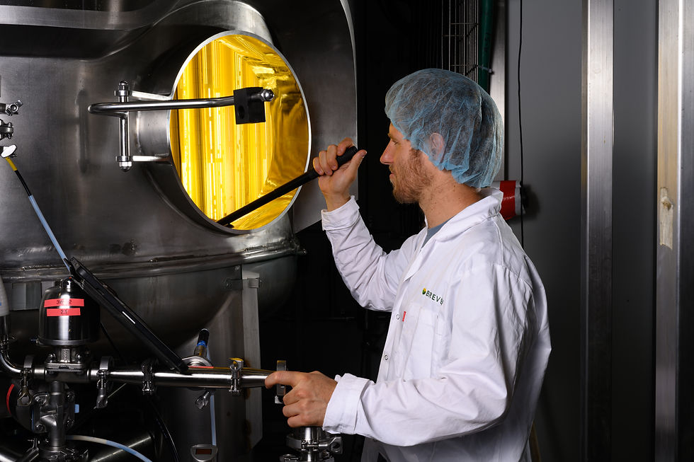 Brevel and The Wave Group partner to build illuminated fermentation facility