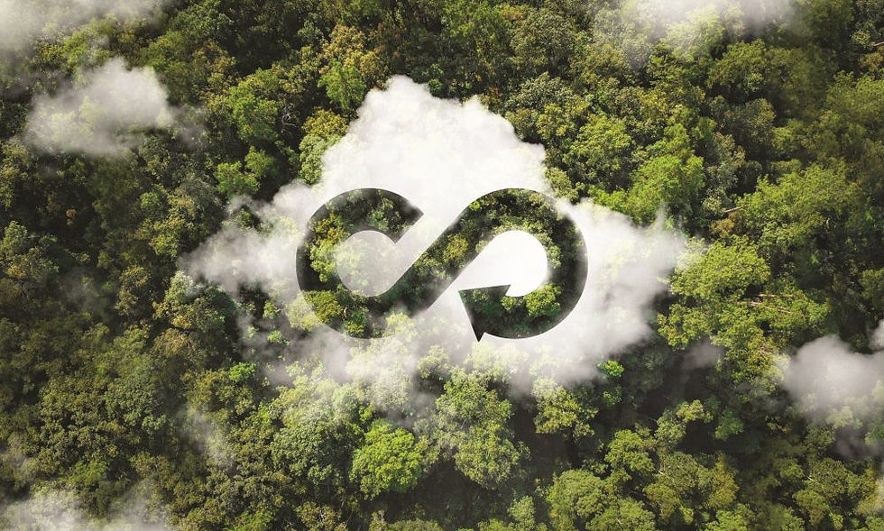 Full circle: Redefining food and beverage sustainability 