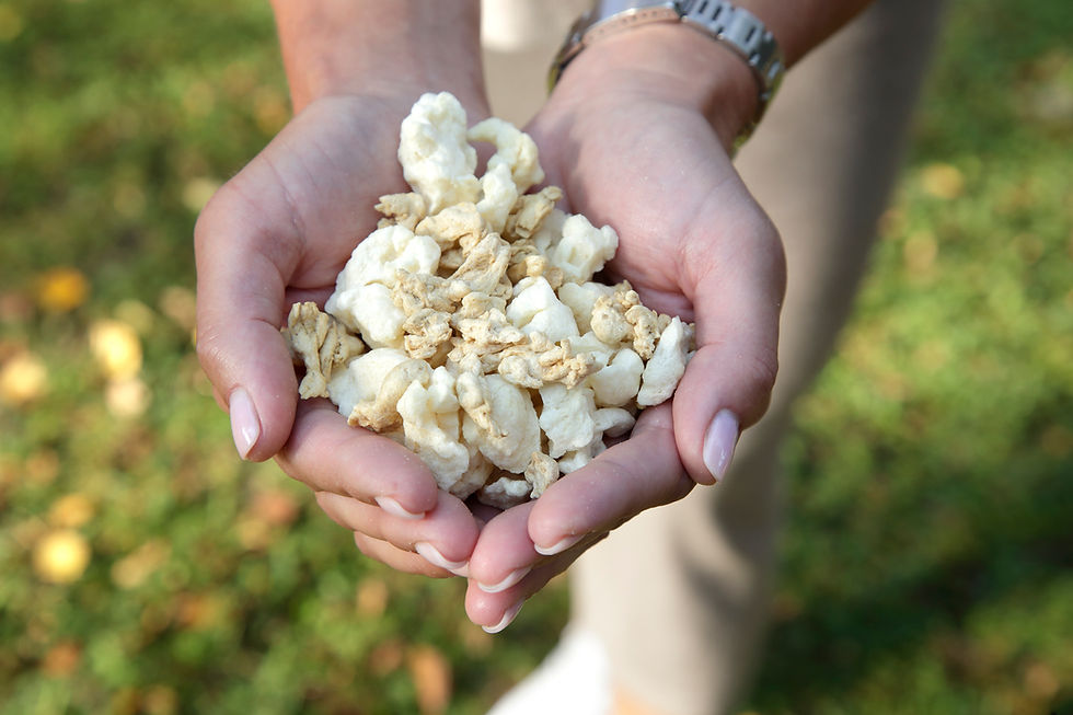 Happy Plant Protein raises €1.8m to further develop patented manufacturing process