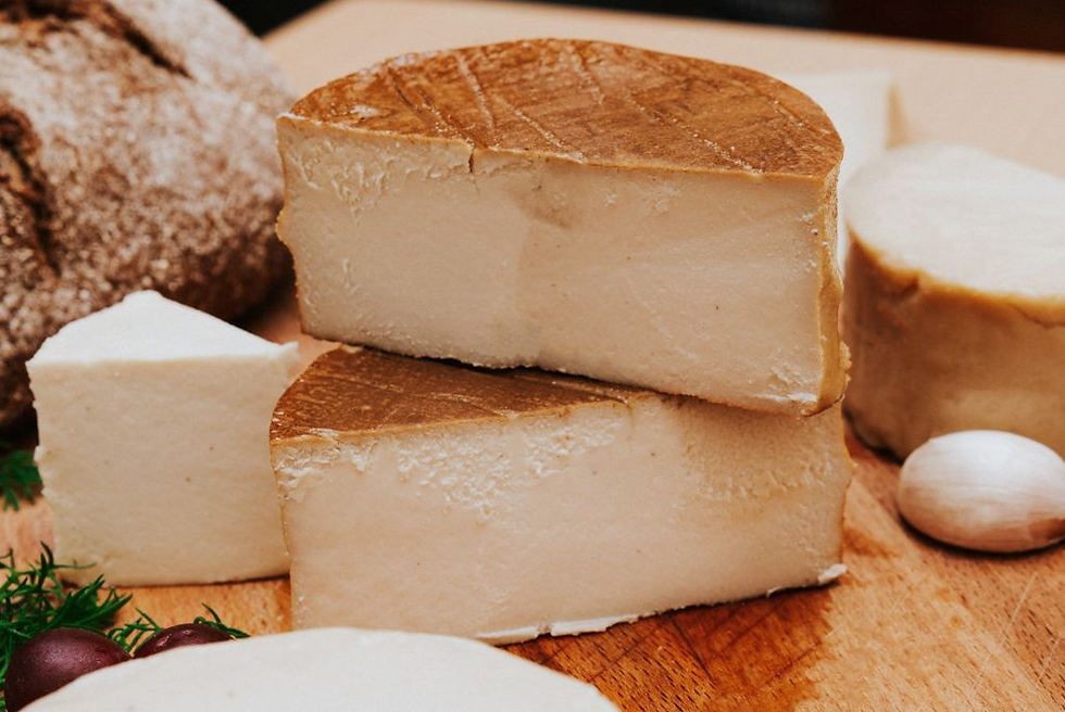 Quevana opens new cashew cheese factory in Segovia, Spain