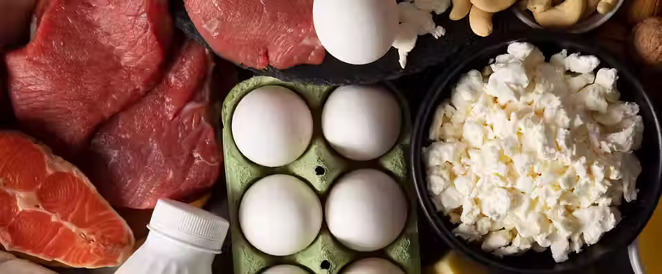 Plant-based advocacy physician group sues US government over latest dietary guidelines