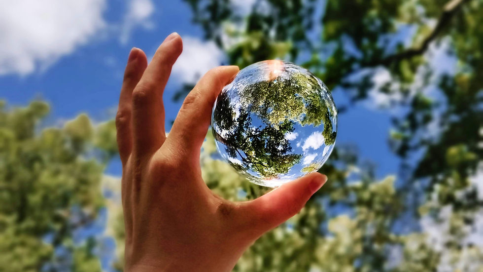 World Animal Protection’s Cameron Harsh on why the plant-based sector needs more “meaningful investment” and less “corporate greenwashing”