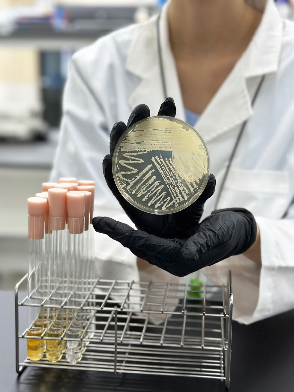 Pureture’s ‘breakthrough’ yeast protein provides muscle support benefits comparable to dairy