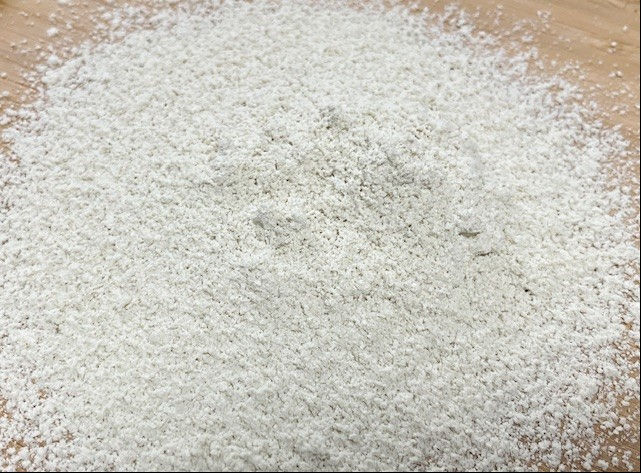 Burcon launches FavaPro high-purity fava protein isolate