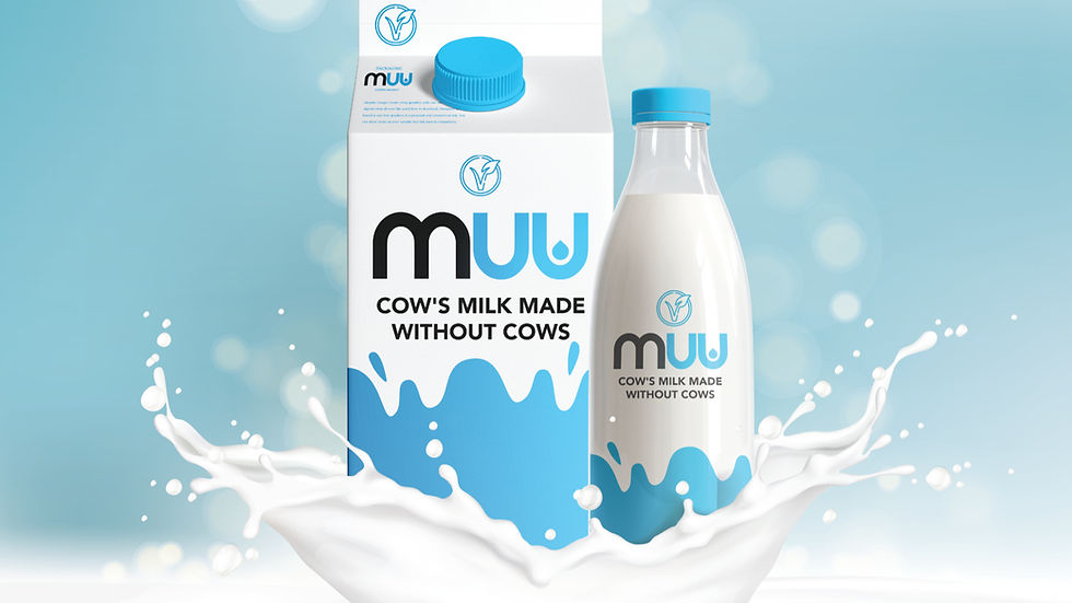 Thai animal-free dairy start-up Muu celebrates funding milestone