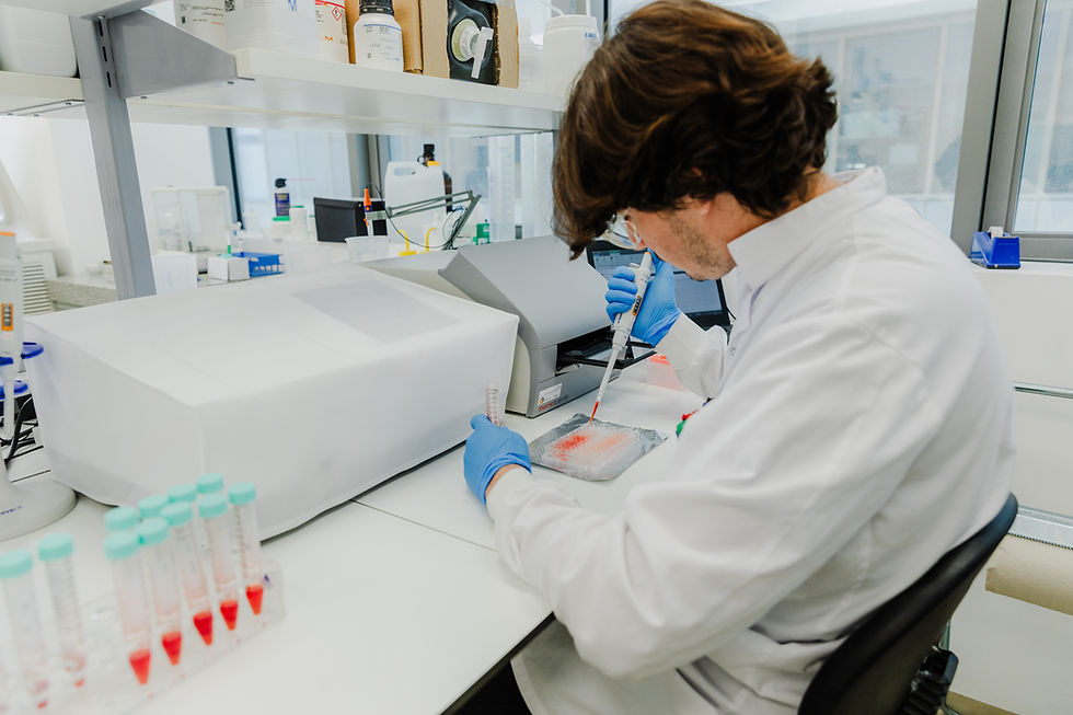 Novella and Metaphor Foods partner to advance cell-based natural food preservation
