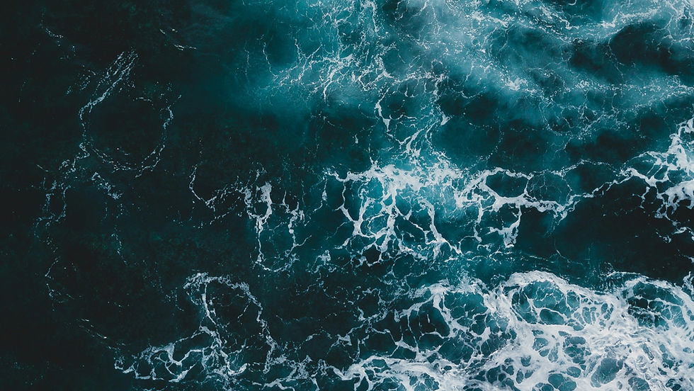 Alt-seafood association Future Ocean Foods seeks buyer to accelerate organisation