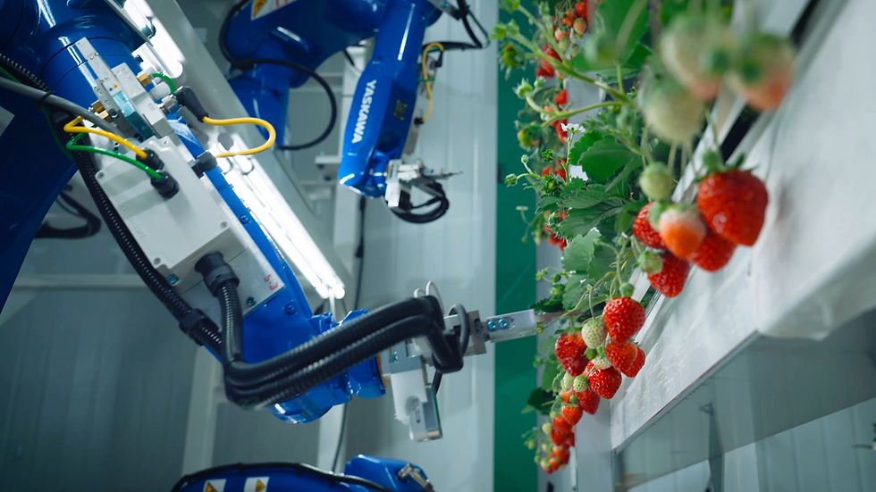 Oishii closes $150m Series C funding round to scale tech-led indoor farming platform