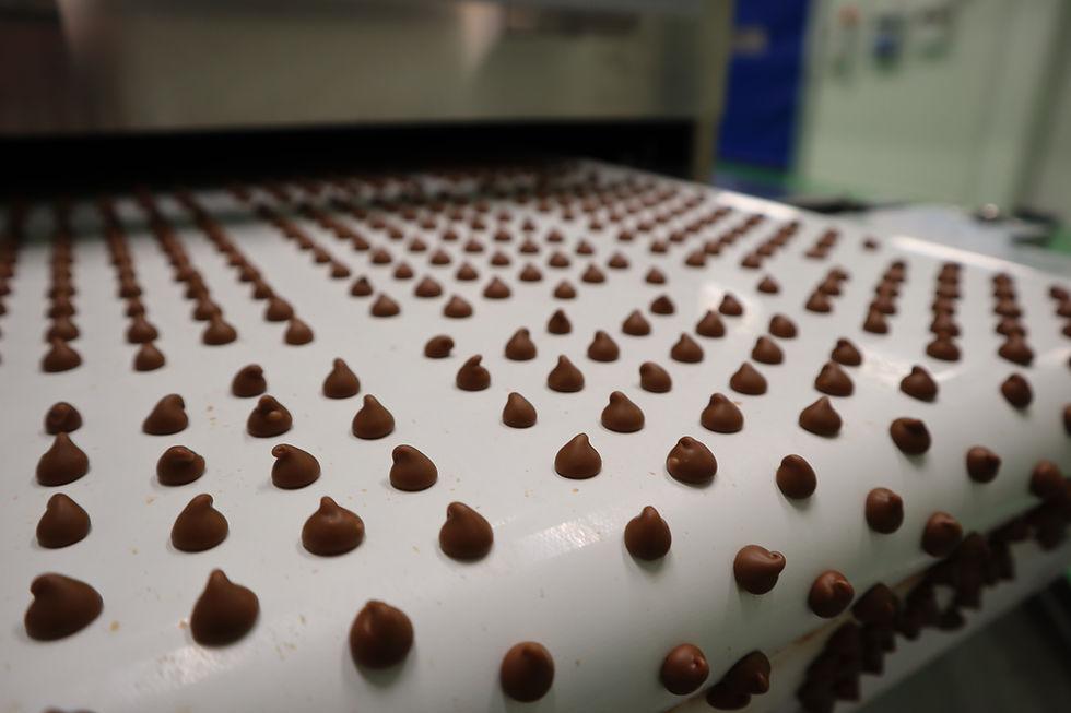 Foreverland expands cocoa-free chocolate production
