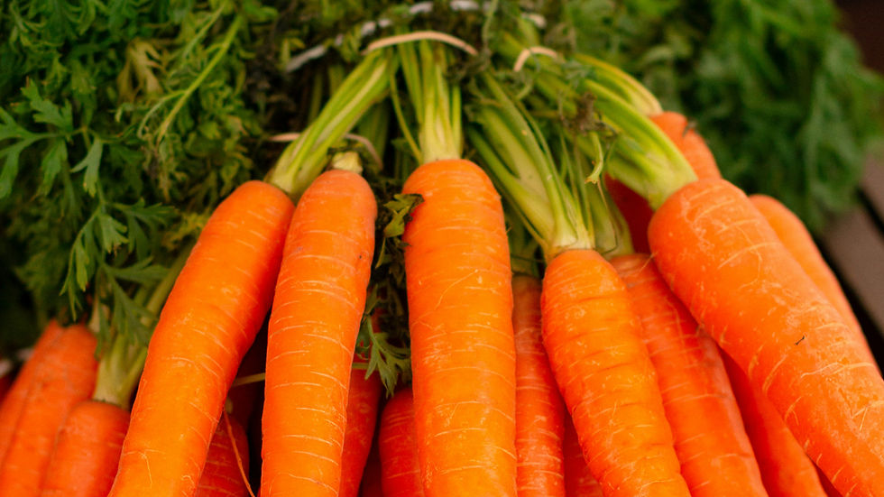 Ingredion secures EU novel food approval for Benicaros carrot fibre ingredient solution