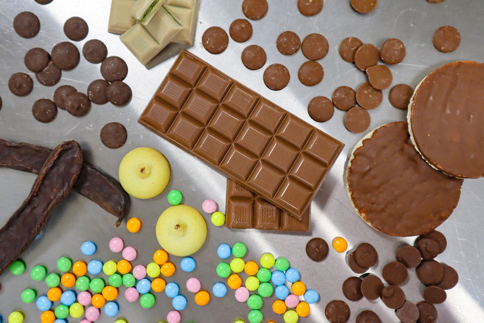 Foreverland raises €6m to support cocoa-free chocolate expansion