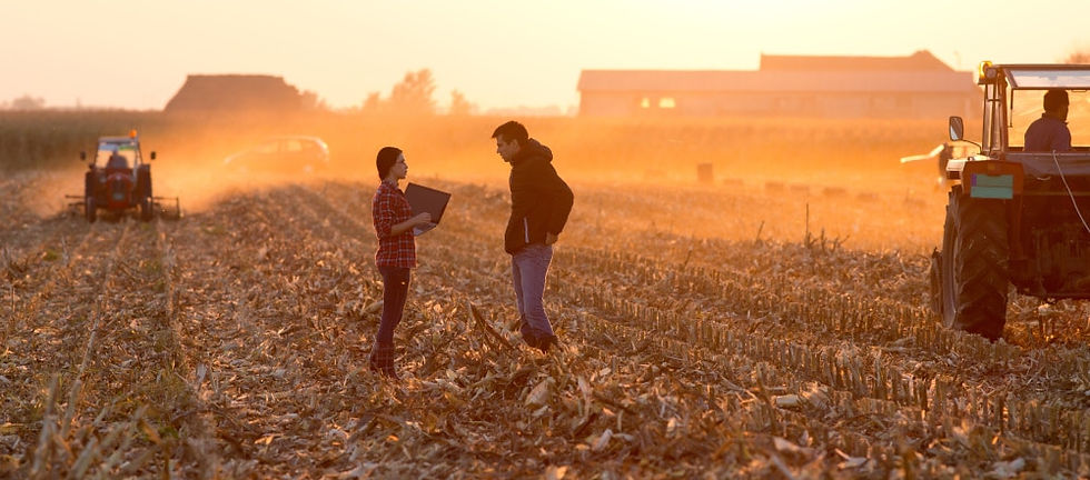 ProVeg to support Brazilian livestock farmers in transition to plant-based agroforestry