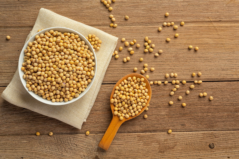 Protein Industries Canada and industry partners collaborate on Canadian soya processing project