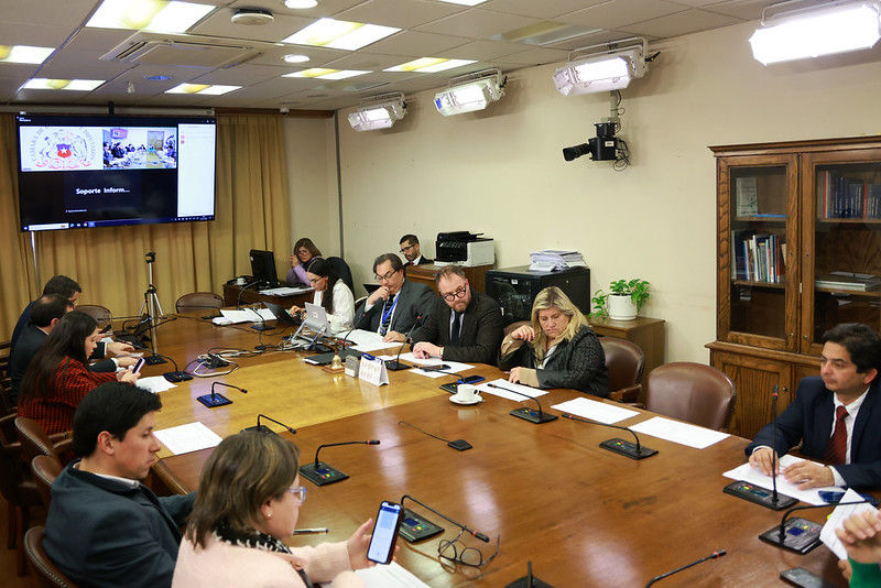 Bill to define plant-based alternatives as ‘simulated foods’ being considered in Chile