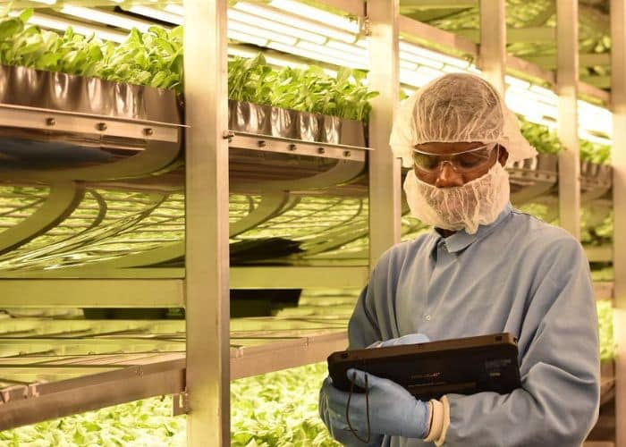 AeroFarms announces acquisition by Palm Ventures 