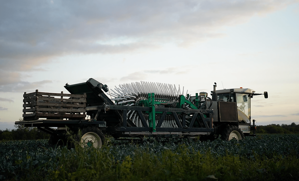 Transforming waste into opportunities: Upcycling on the rise