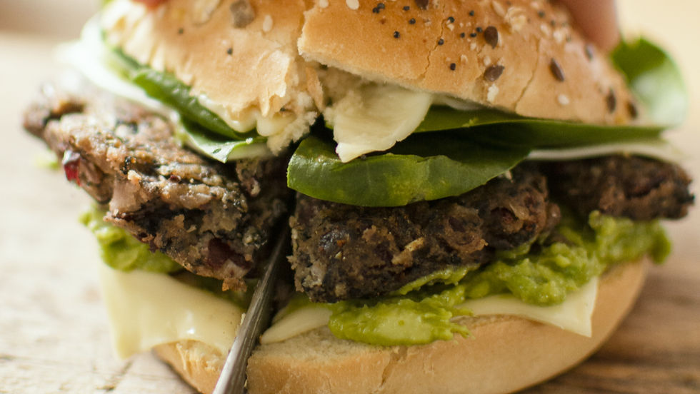 Edonia partners with catering group Newrest to expand microalgae-based meals