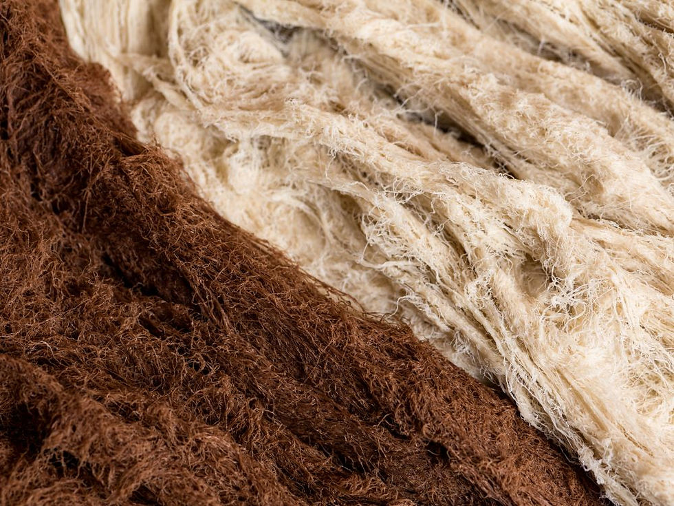 Start-up spotlight: Lasso