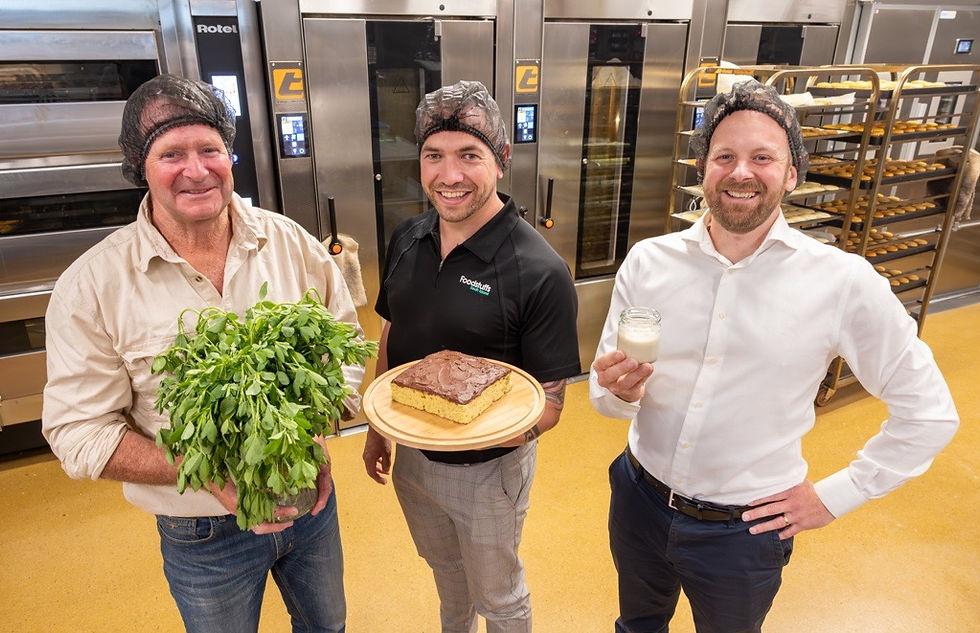 Leaft Foods partners with Foodstuffs South Island to explore use of leaf protein in baked goods