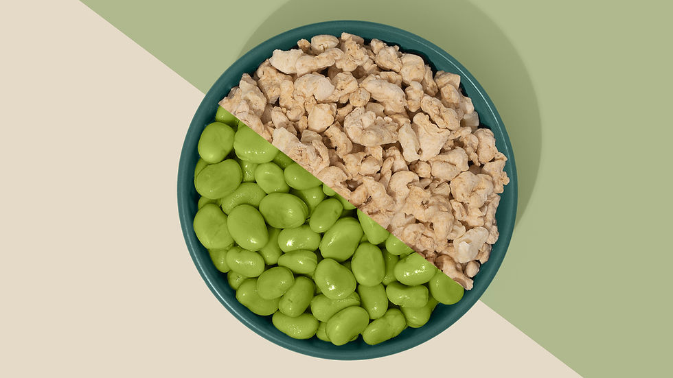 Happy Plant Protein reveals new faba-based TVP ingredient at Food Ingredients Europe 