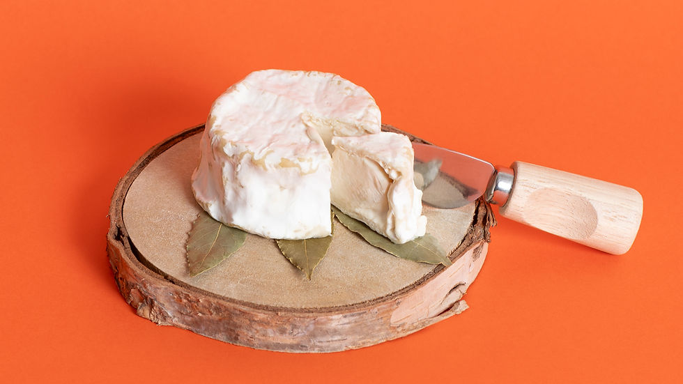 The case for casein: Could animal-free milk proteins transform vegan cheese?