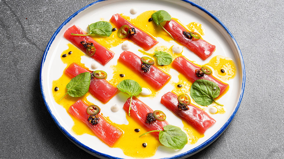 Aqua Cultured Foods closes down amid challenging investment climate for alt-protein