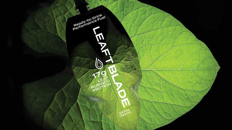 Leaft Foods debuts new plant-based performance nutrition drink made with protein from green leaves