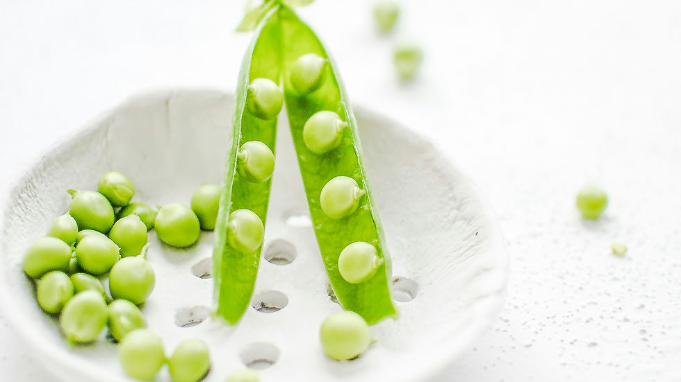 Lantmännen secures €50m loan from the European Investment Bank for new pea protein facility