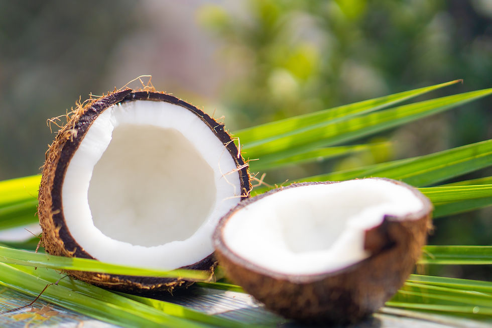 Asia's coconut production crisis: Brazil can offer sustainable alternatives