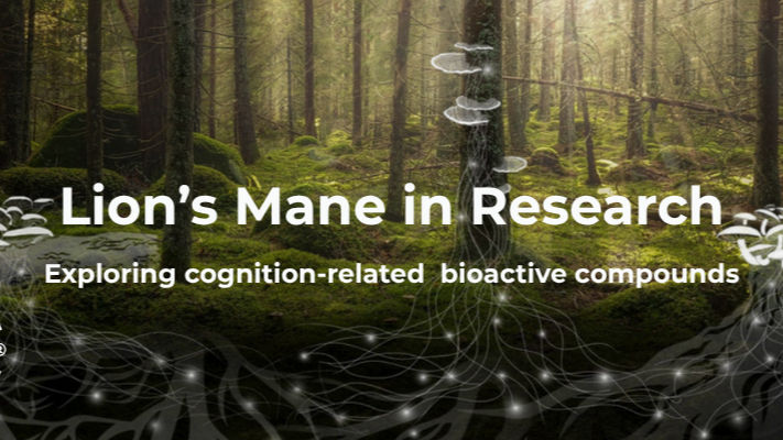 How Kääpä Biotech is raising the standard for functional mushroom ingredients