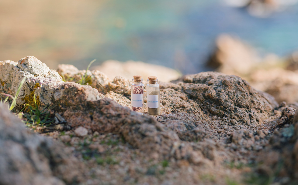 Poseidona raises €1.1m to bring algal protein to market