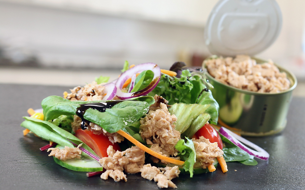 Loryma presents plant-based tuna prototypes