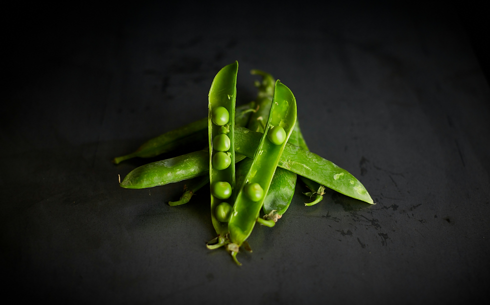 Roquette expands Nutralys pea protein range