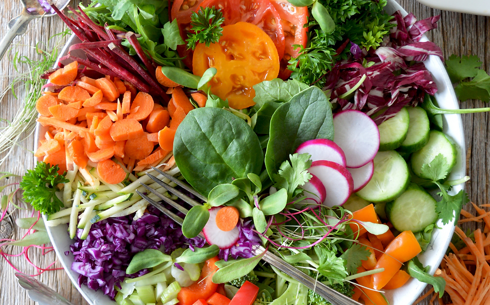 Smart Protein project calls on EU to support plant-based diets