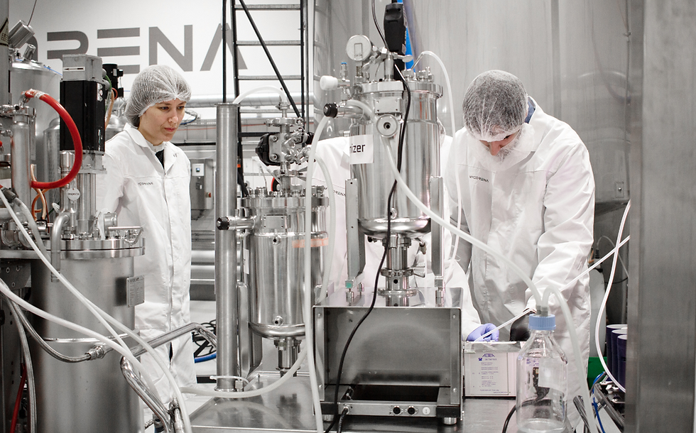 Mycorena unveils closed-circuit concept for growing mycoprotein in space