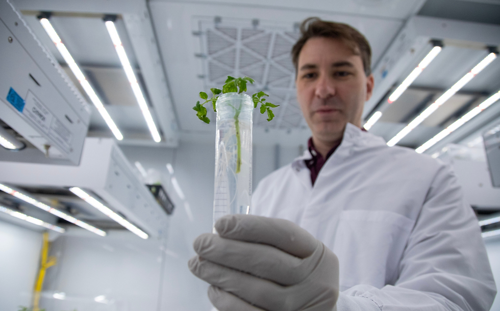 Start-up spotlight: Elo Life Systems