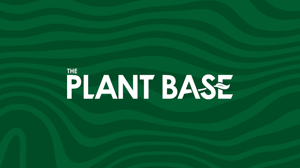 The Plant Base’s trends for 2024 – part two