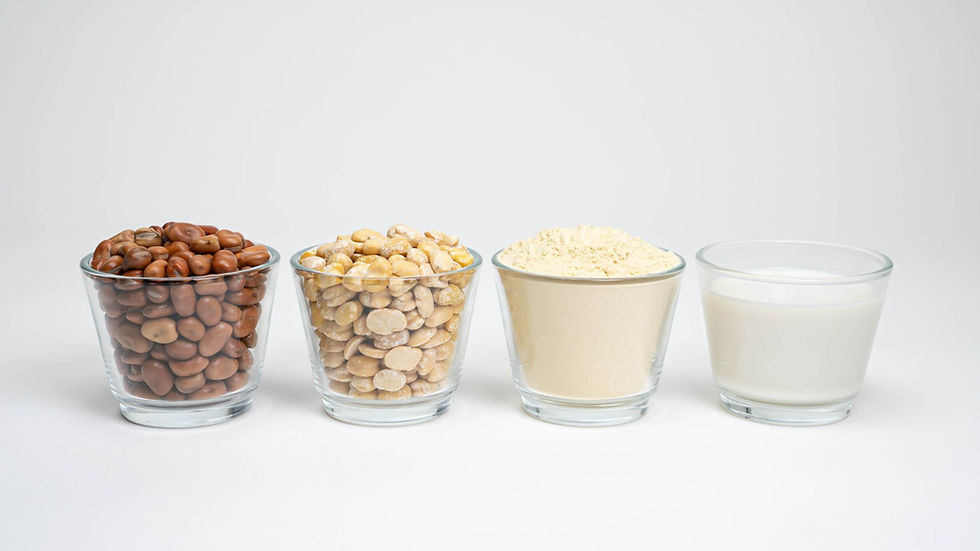 Roquette launches plant-based Nutralys Fava S900M ingredient