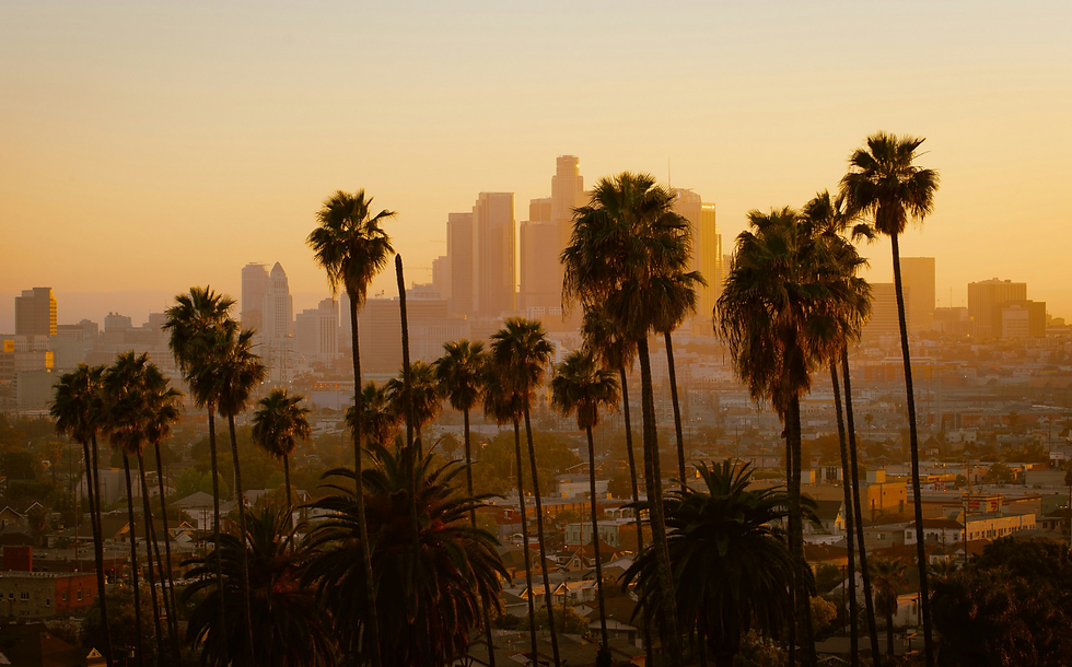 Los Angeles prioritises plant-based in new food purchasing policy
