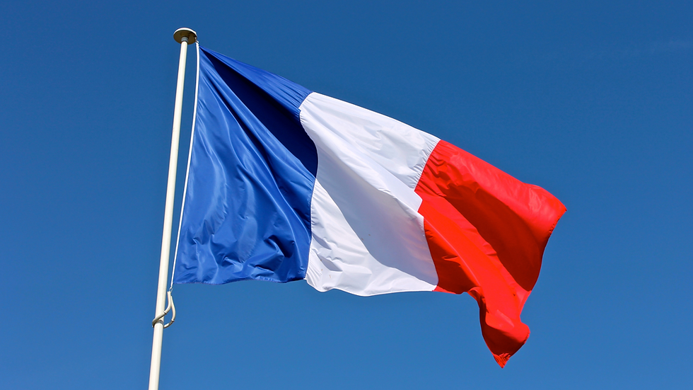 France bans meat-related terms on plant-based product labels