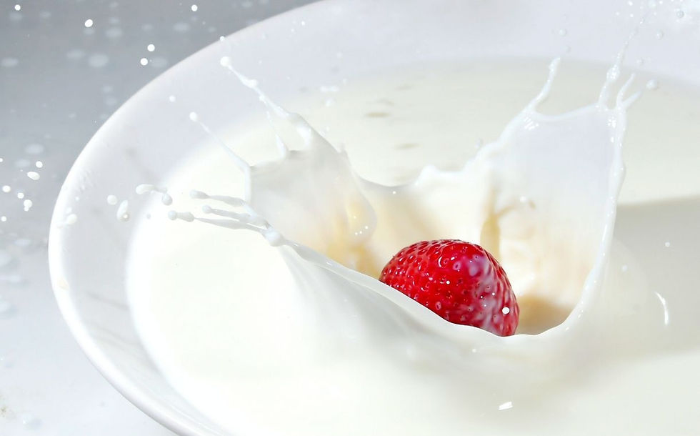 Lactalis converts Ontario dairy site into plant-based facility